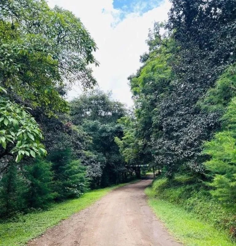 TERRENO EN VENTA EN HACIENDA LAS LLANURAS, KM 43.8 SUMPANCO, SACATEPEQUEZ — foto 2 de 15