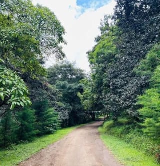 TERRENO EN VENTA EN HACIENDA LAS LLANURAS, KM 43.8 SUMPANCO, SACATEPEQUEZ — miniatura 2 de 15