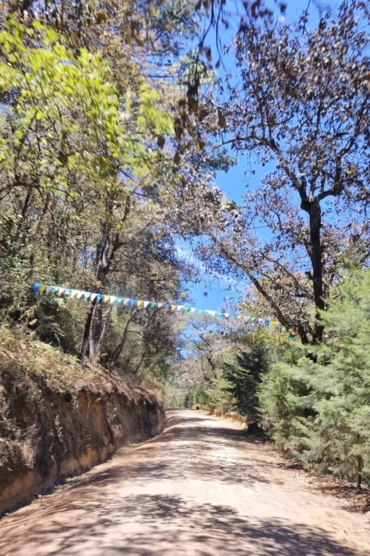 TERRENO EN VENTA EN HACIENDA LAS LLANURAS, KM 43.8 SUMPANCO, SACATEPEQUEZ — foto 7 de 15